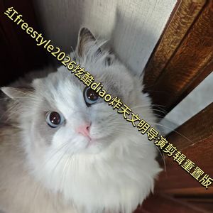 红freestyle2026炫酷diao炸天文明导演剪辑重置版Prod.Lobrey