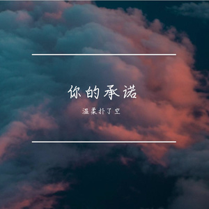 你的承诺_103947