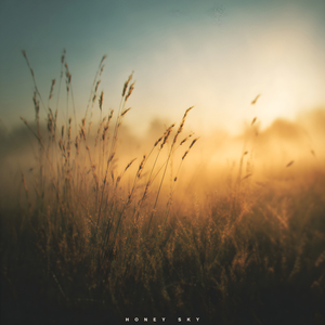 Lightborn