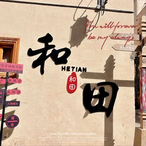 和田情歌