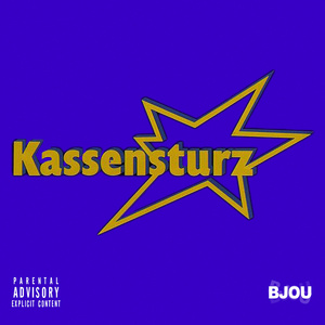 Kassesturz