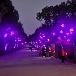 踮起脚尖爱