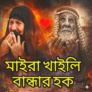 মাইরা খায়লি বান্ধার হক,মক্কায় গেলি হইয়া চকাচক