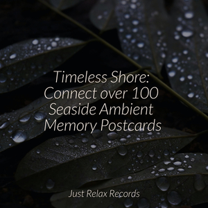 Ethereal Drifting Reflections