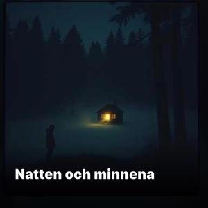 Natten och minnena