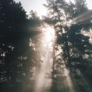 再也不会有人会比我更爱你