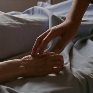 在我成为井井有条的大人之前