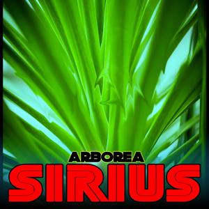 Arborea