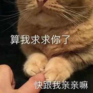 为你写首R&B（Prod.by BLACKFAT洪汝超）