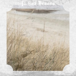 Area 51 UFO's in Space