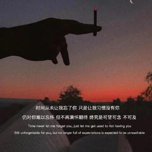 夜游人（remix姜云升）