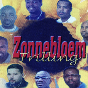 Stoelendans (Zonnemeal)