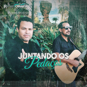 Juntando Os Pedaços