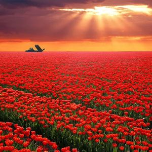 路过我的心却不定居