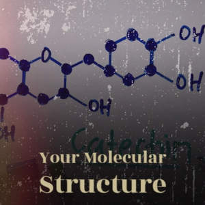 Crepuscule With Nellie
