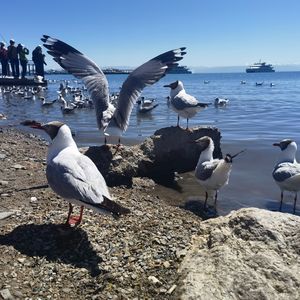 我们还能不能做朋友 伴奏