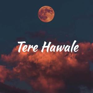Tere Hawale