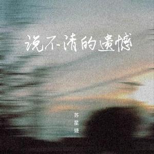 说不清的遗憾 (0.9x)