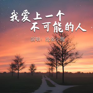 我爱上一个不可能的人