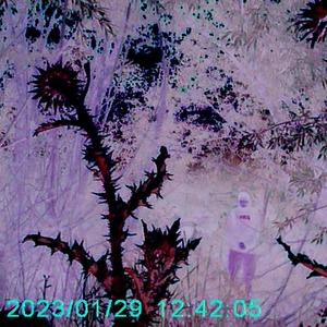 Project Blue Beam (feat. Deejay Chainwallet) (Jake Amirani's Deep State Remix)