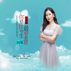 你是我今生最爱的宝(DJ版)