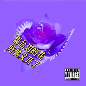 《窗台边的花好像又开了 lofihiphop X jazzhiphop#节奏玩家5》
