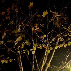 总会遇到一个能懂你的人