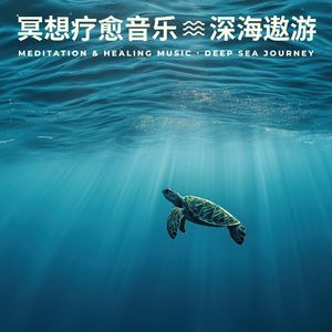 沉浸睡眠导入(52赫兹深渊鲸鱼之声) (Immersed in Sleep(52 Hz Abyss Whale Sound))
