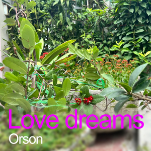 Love dreams