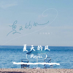 火羊瞌睡了-夏天的风（Cycle remix）