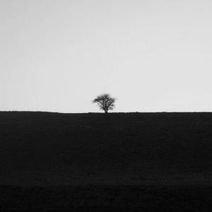 不期而遇的夏天