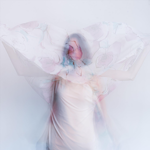 Čierne barany (Sama)