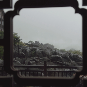 洞若观火