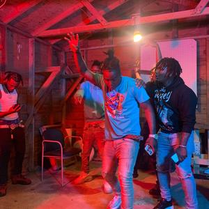 SHAKE IT FREESTYLE
