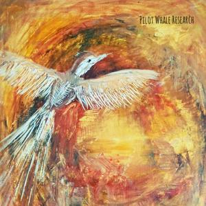 Oystercatchers (in the Distance)