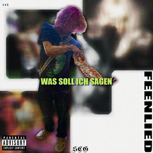 Was Soll Ich Sagen