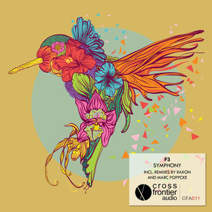 Symphony (Raxon Remix)