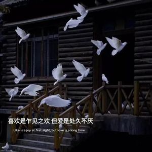 玫瑰腐败(Prod by BECU BEATZ.)