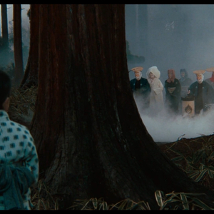 海邊 星星 啤酒 貝殼 夢