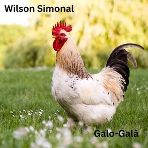 Galo-Galã