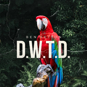 D.W.T.D.