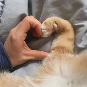 我不希望你孤单的去面对整个喧哗世界