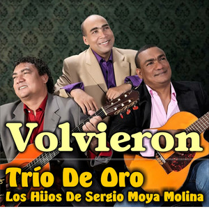 Volvieron