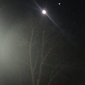 White Fire (angel olsen cover)