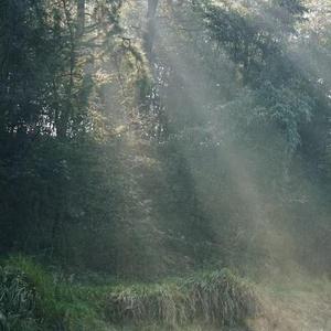 这一生关于你的风景