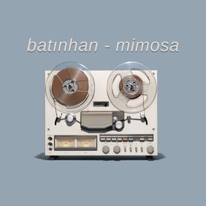 Mimosa