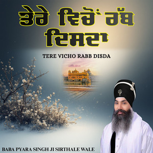 Tere Vicho Rabb Disda
