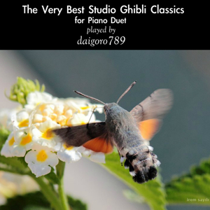 The Bygone Days (Kaerazaru Hibi): Porco Rosso