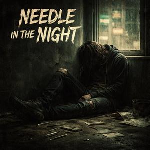 Needle in the Night
