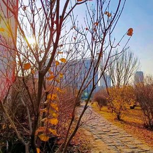 Go For It（Prod.BECU BEATZ）